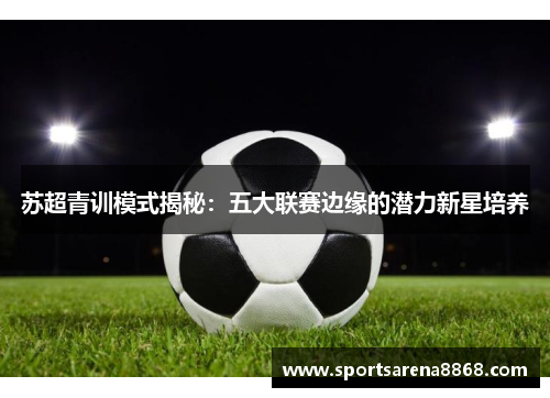 苏超青训模式揭秘：五大联赛边缘的潜力新星培养